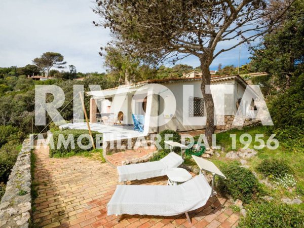 casa indipendente in affitto ad Orbetello in zona Ansedonia