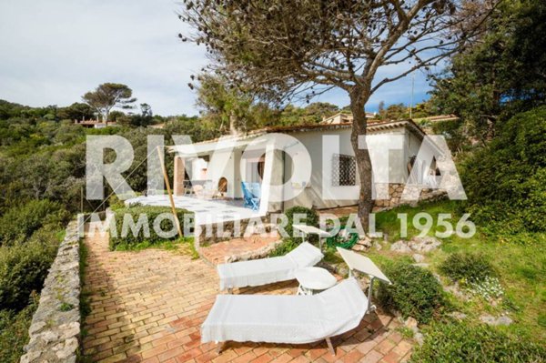 casa indipendente in affitto ad Orbetello in zona Ansedonia