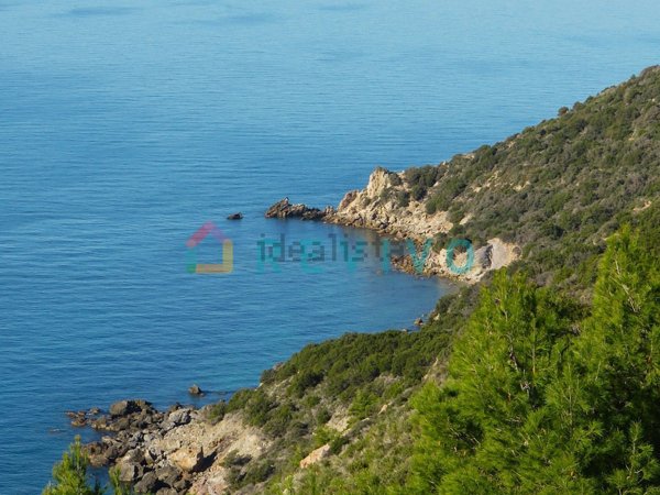 casa indipendente in affitto ad Orbetello in zona Talamone