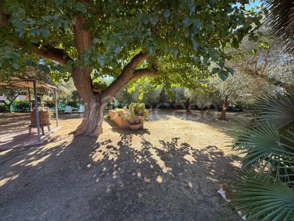 casa indipendente in affitto ad Orbetello