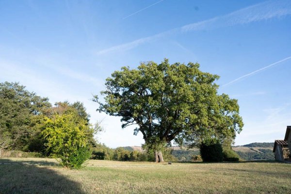 casa indipendente in affitto a Roccalbegna