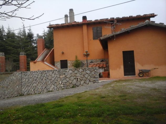 appartamento in affitto a Roccalbegna