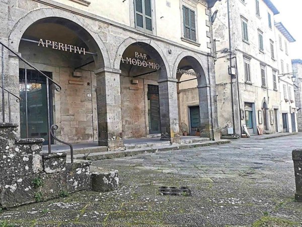 locale commerciale in affitto a Santa Fiora