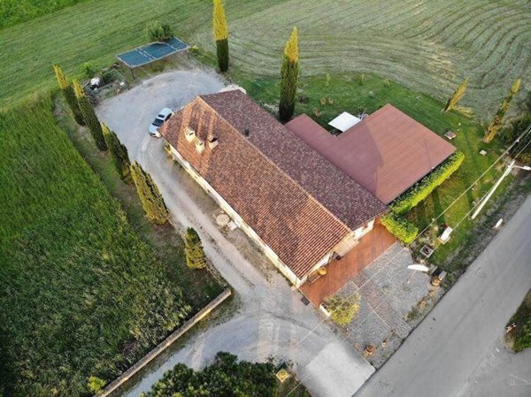 negozio in affitto a Scansano