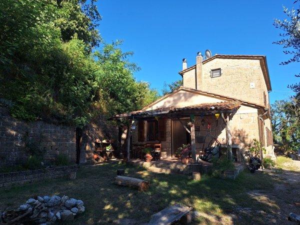 appartamento in affitto a Sorano