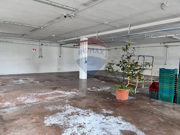 locale di sgombero in affitto ad Assisi in zona Santa Maria degli Angeli