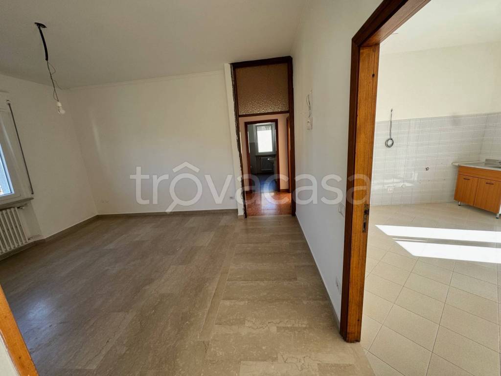 appartamento in affitto ad Assisi in zona Santa Maria degli Angeli