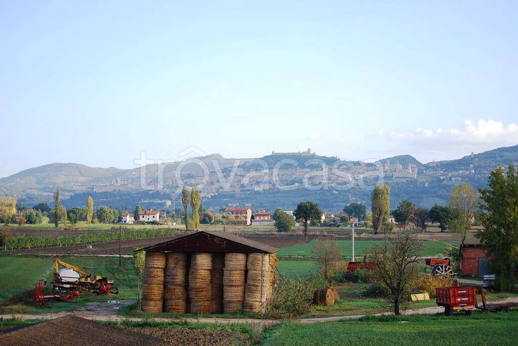 appartamento in affitto ad Assisi in zona Castelnuovo