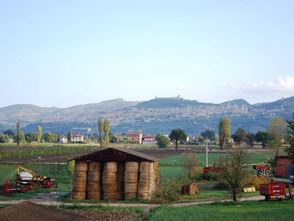 appartamento in affitto ad Assisi in zona Castelnuovo