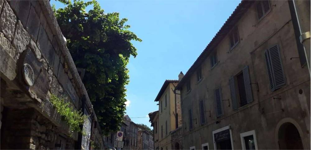 locale commerciale in affitto ad Assisi
