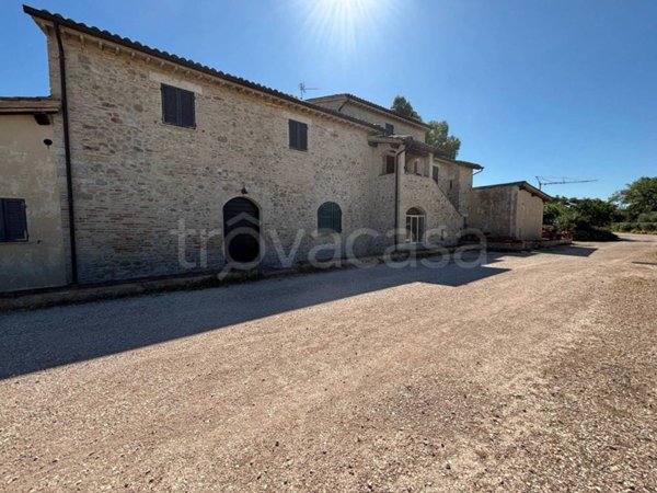appartamento in affitto ad Assisi in zona Santa Maria degli Angeli