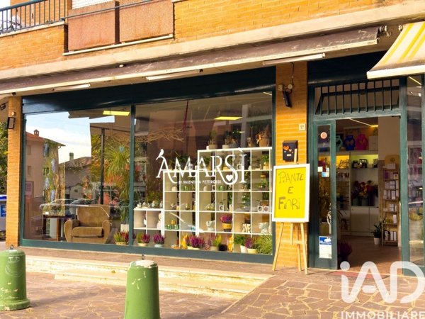 negozio in affitto ad Assisi in zona Santa Maria degli Angeli