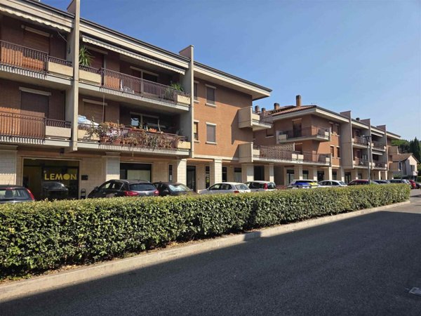 negozio in affitto ad Assisi in zona Santa Maria degli Angeli