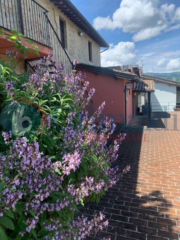 negozio in affitto a Bevagna