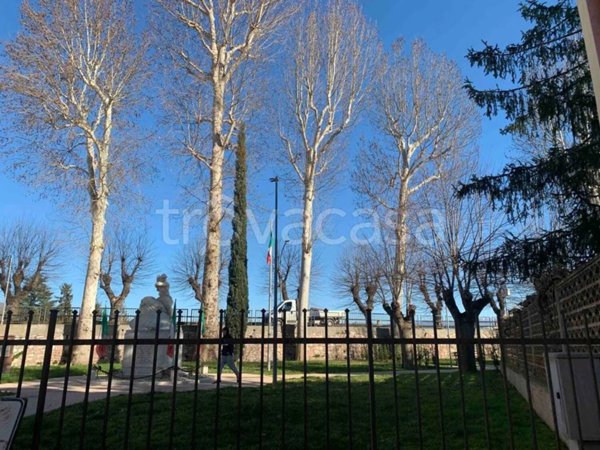 appartamento in affitto a Cannara