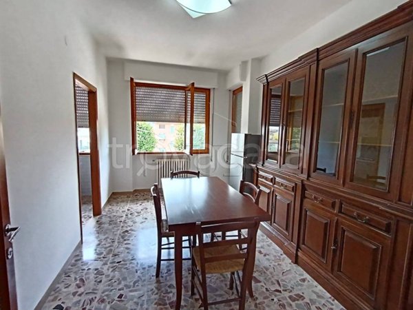 appartamento in affitto a Città di Castello