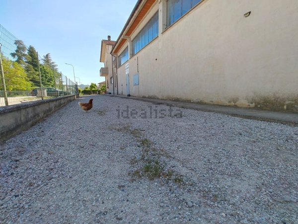 villa in affitto a Città di Castello in zona Cerbara