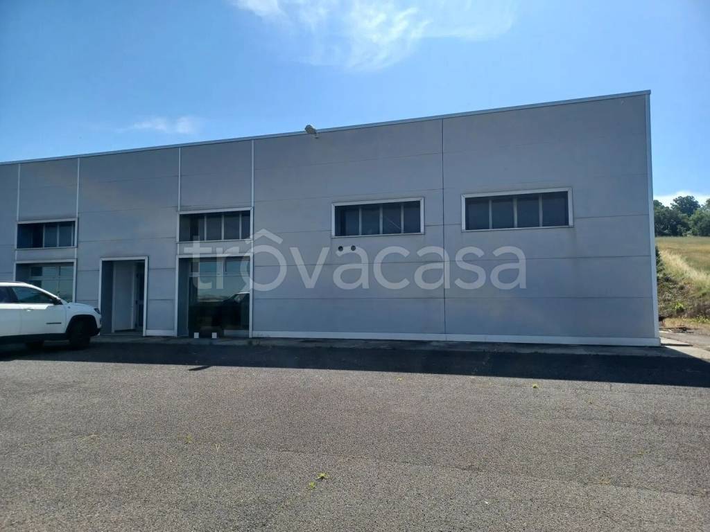 appartamento in affitto a Collazzone in zona Collepepe