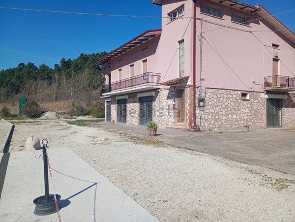 locale commerciale in affitto a Collazzone in zona Collepepe