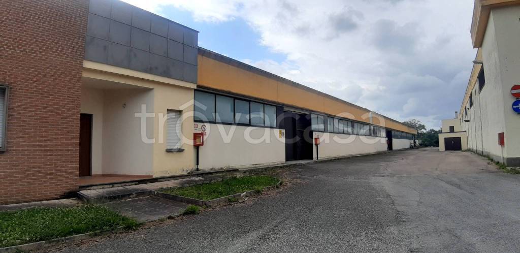 capannone in affitto a Corciano