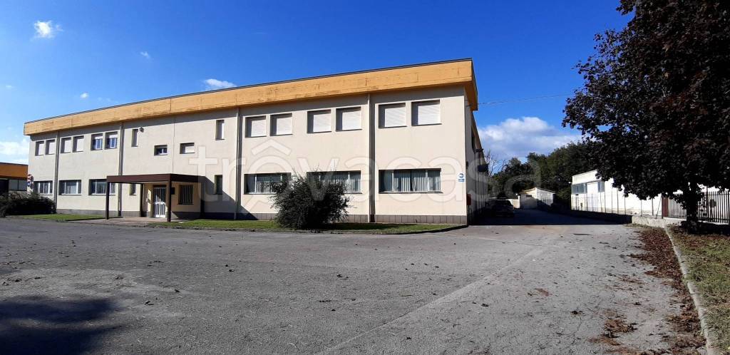 capannone in affitto a Corciano