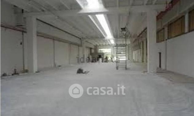 appartamento in affitto a Corciano
