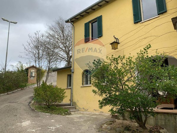 immagine annuncio 0 di 15