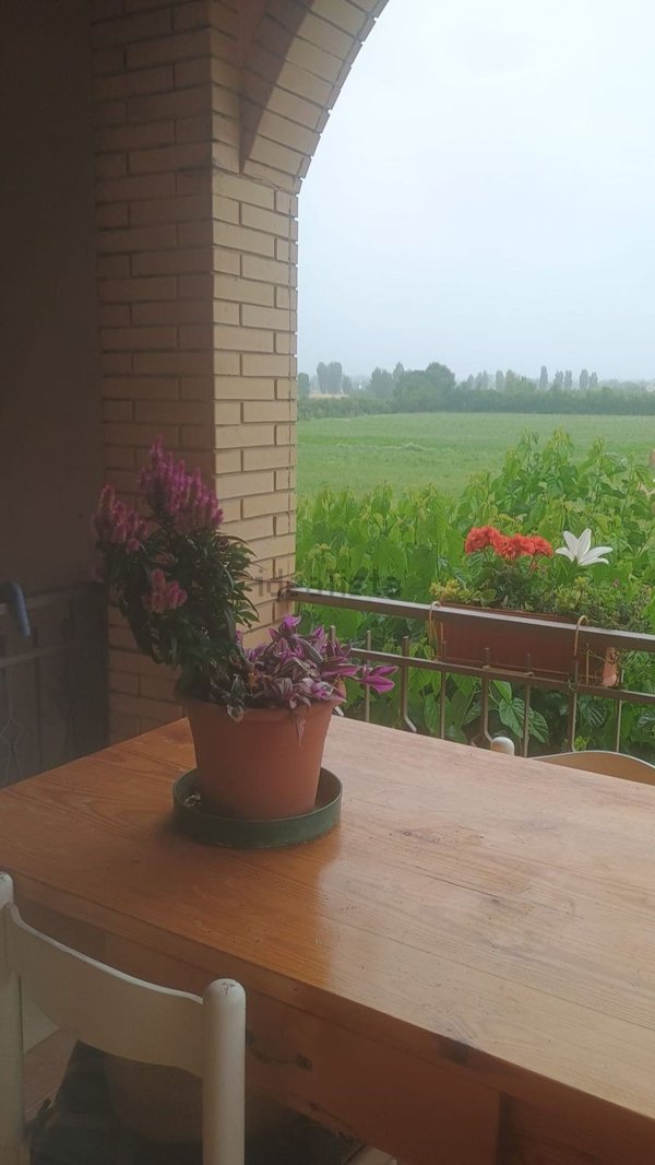 immagine annuncio 0 di 1