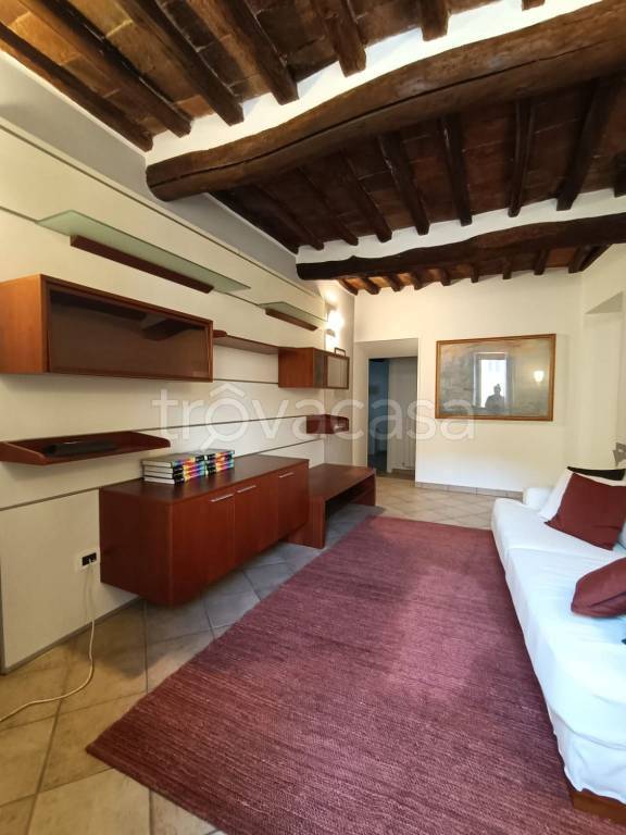 appartamento in affitto a Magione