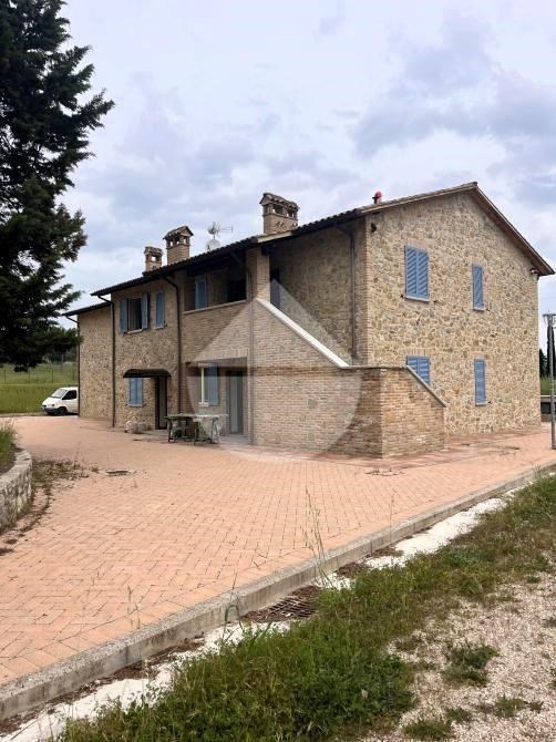 appartamento in affitto a Magione
