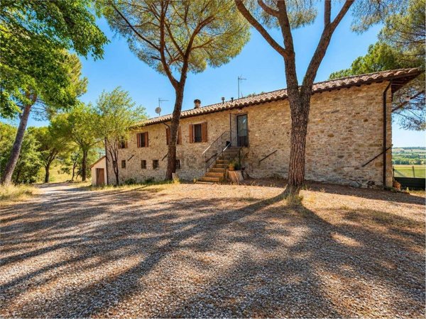 appartamento in affitto a Magione