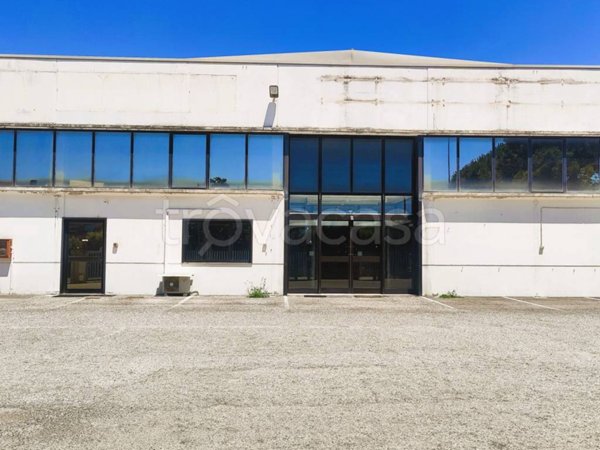 ufficio in affitto a Marsciano