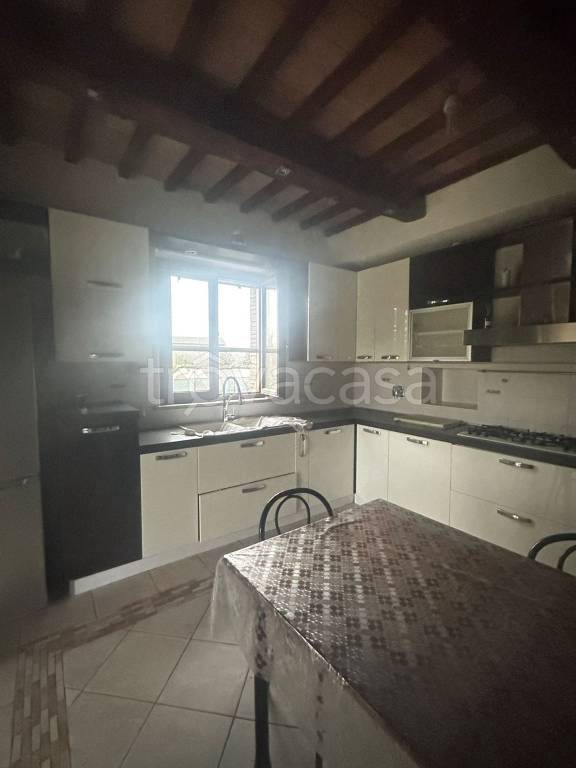 appartamento in affitto a Marsciano