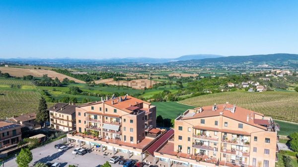 appartamento in affitto a Marsciano