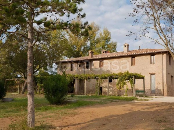 appartamento in affitto a Marsciano