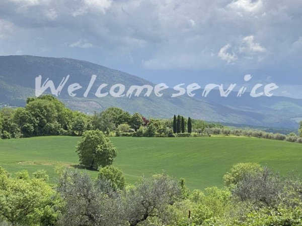 casa indipendente in affitto a Massa Martana