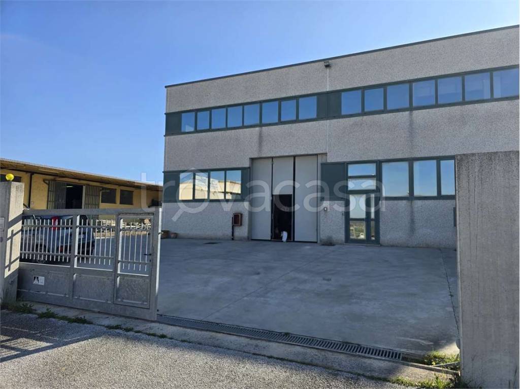 appartamento in affitto a Montefalco
