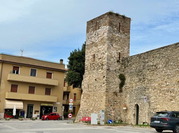negozio in affitto a Montefalco