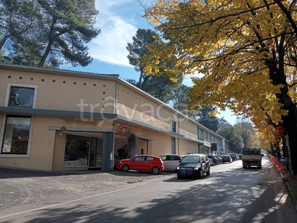 negozio in affitto a Perugia in zona Stazione