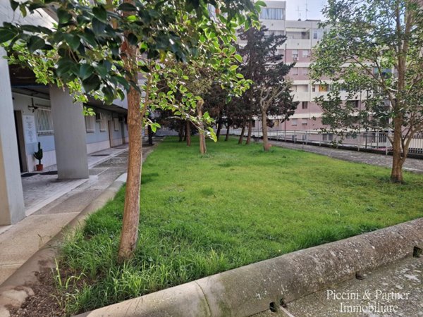 appartamento in affitto a Perugia