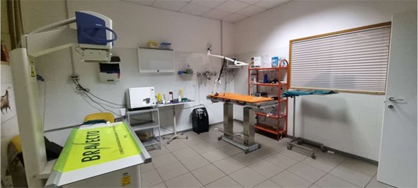 ufficio in affitto a Perugia in zona Stazione
