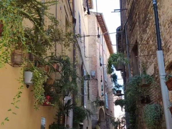 appartamento in affitto a Perugia in zona Centro Città