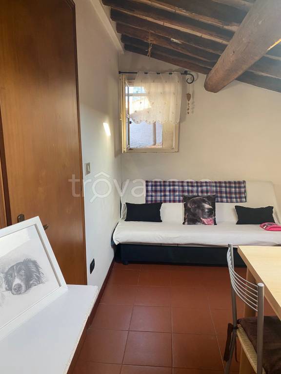 appartamento in affitto a Perugia in zona Centro Città