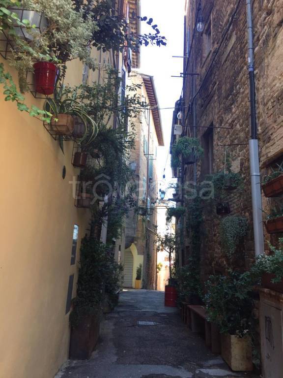 appartamento in affitto a Perugia in zona Centro Città