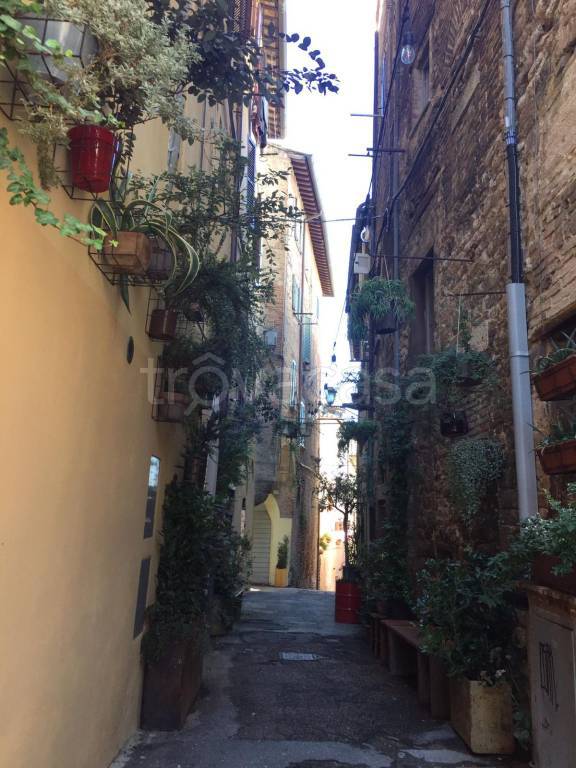 appartamento in affitto a Perugia in zona Centro Città