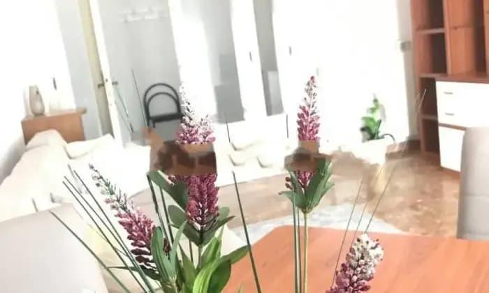 appartamento in affitto a Perugia in zona Monteluce