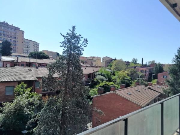 appartamento in affitto a Perugia in zona Centro Città