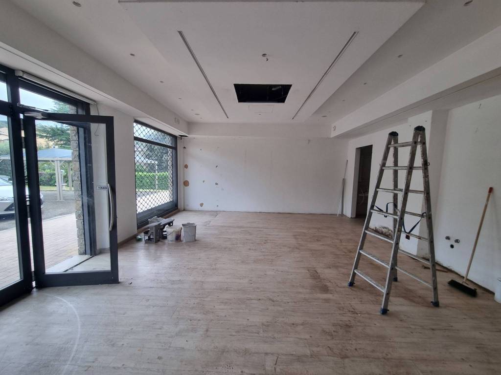 immagine annuncio 0 di 15