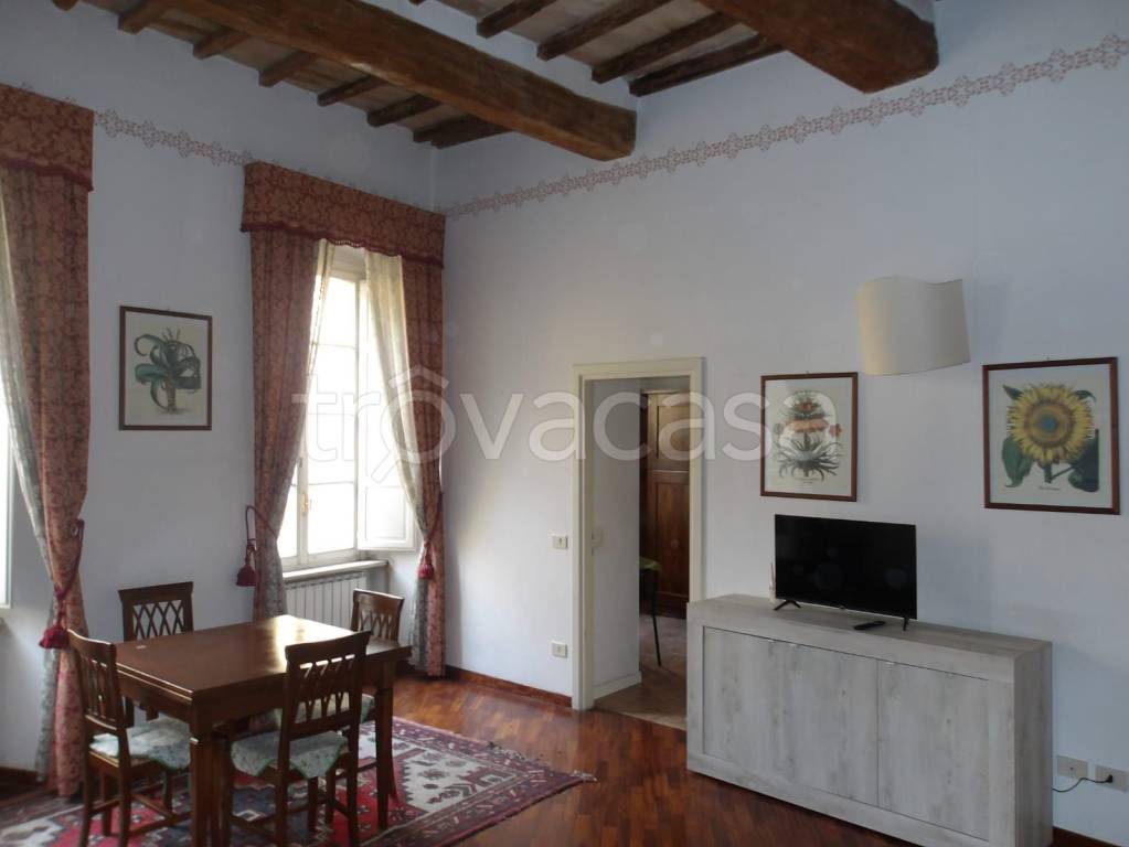 appartamento in affitto a Perugia in zona Centro Città