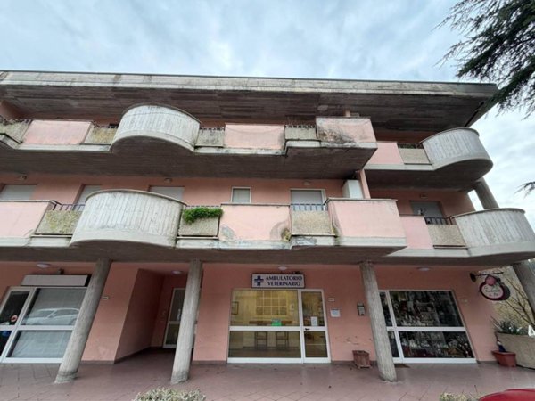 negozio in affitto a Perugia in zona Colombella